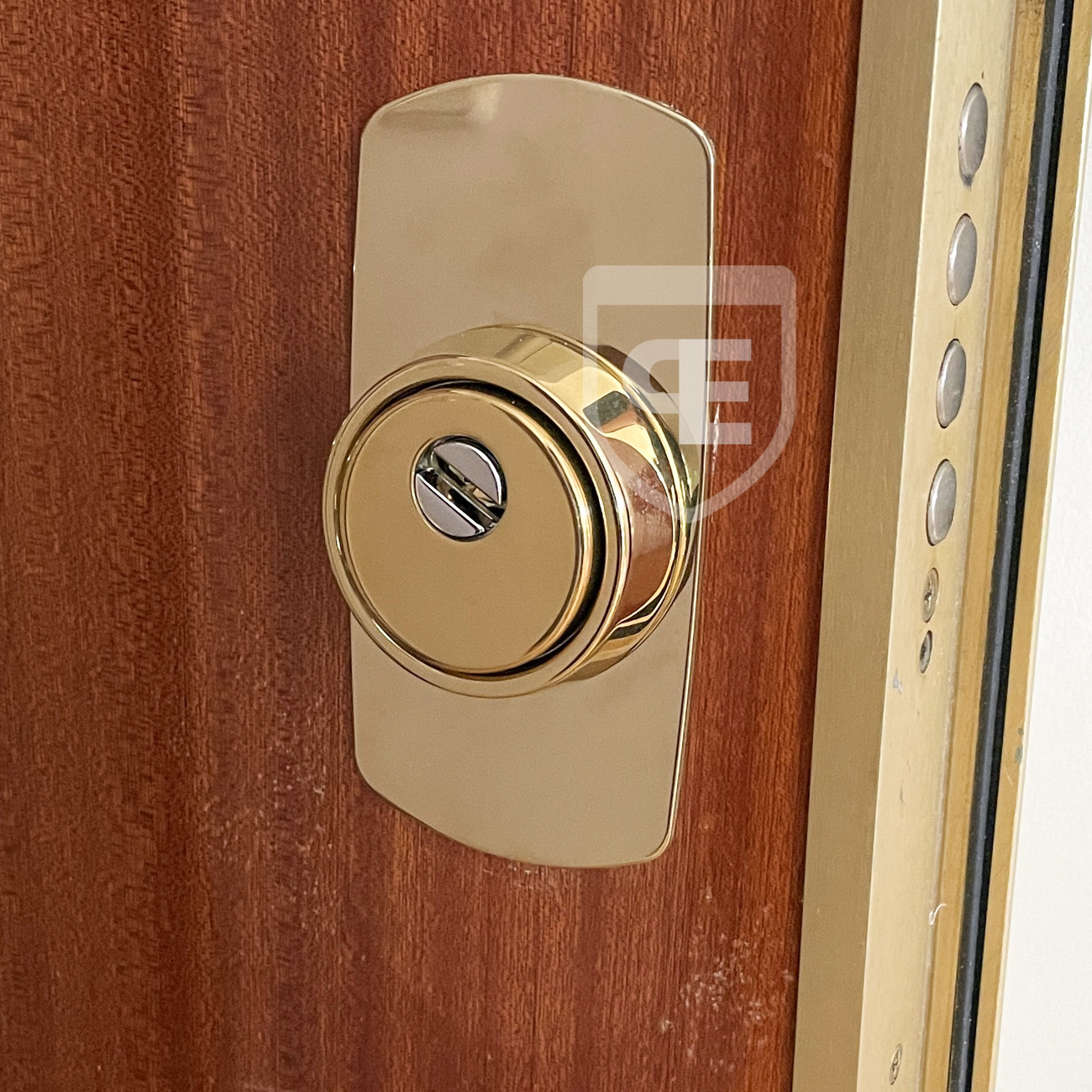 Escudo Disec Rok BD280 latón instalado en puerta