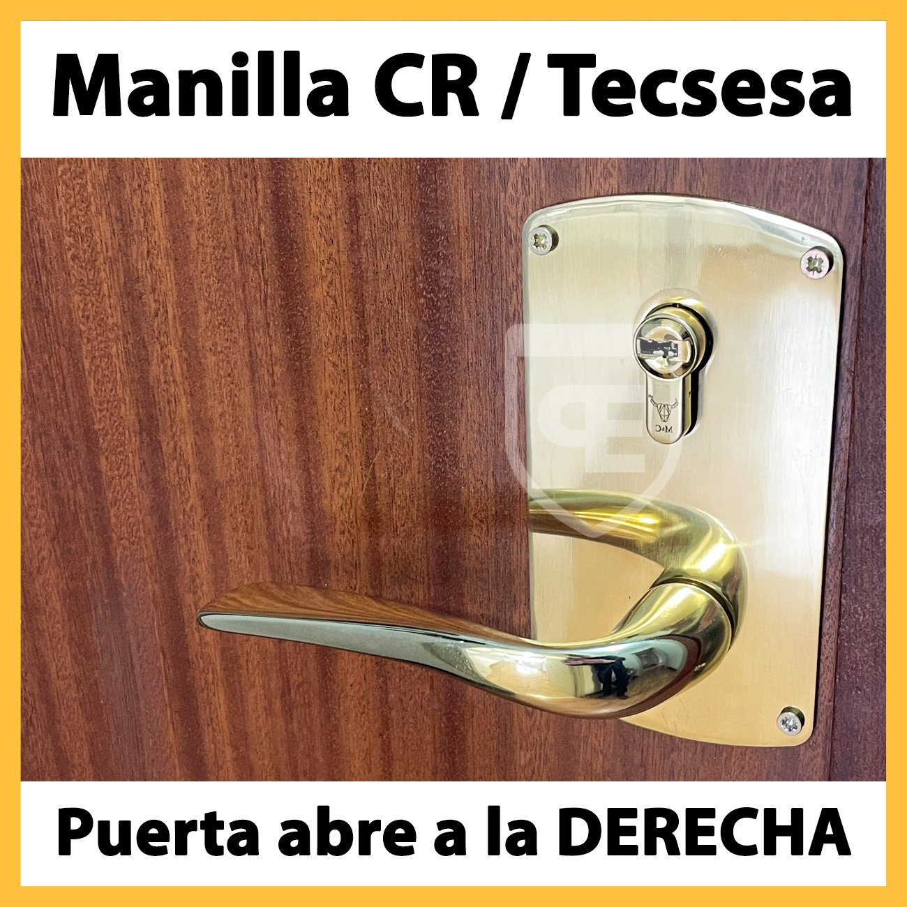 Manilla derecha Conversion CR y Tecsesa con placa bocallave cilindro arriba laton dorado